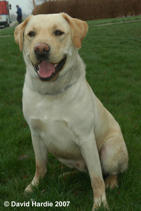 maxwell_DSC_6845 - Sit Front.jpg